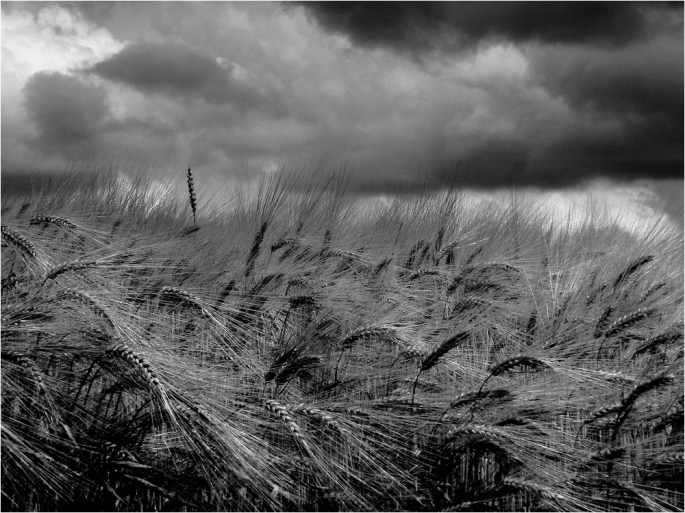 Anima recondita respiro rammarico ambire l'infattibile trattener il vento con i pugni