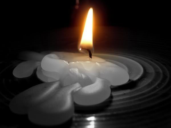 Muscoli cardiaci logorati Domande bulimiche assediano Risposte che non saziano mai