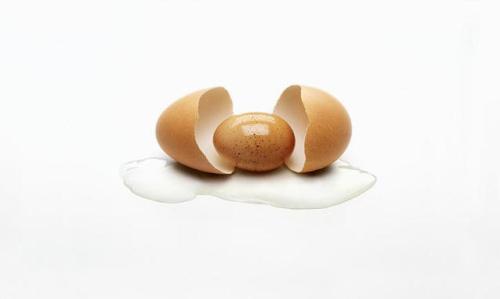eggs