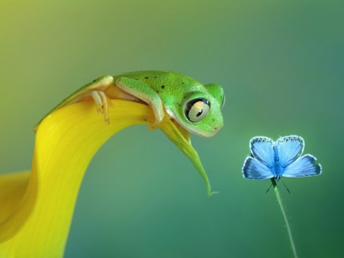Photo by Wil Mijer